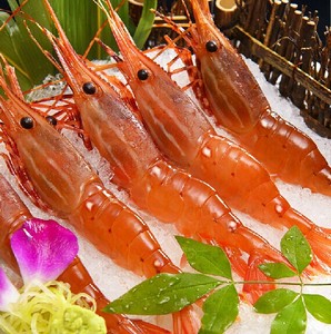 加拿大牡丹虾 牡丹虾 料理刺身 1公斤 新到货22只左右