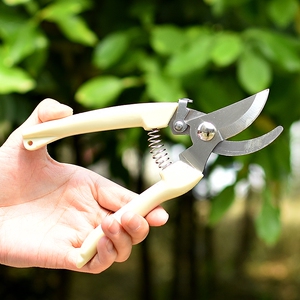 不锈钢树枝修枝剪摘水果花木剪 园林果树花枝嫁接园艺剪刀工具