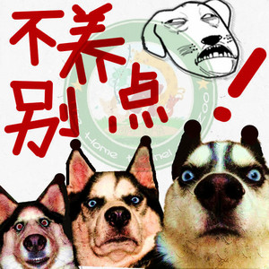 淘宝