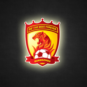 广州恒大车贴 反光车贴 磁性车贴 胶贴 广州未赢够