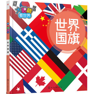 世界国旗 大眼看世界 少儿知识书籍 图解世界各国风俗文化 利于开拓