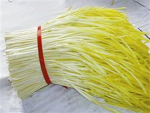 新鲜蔬菜 新鲜韭黄 韭芽 韭菜白 一把一斤左右