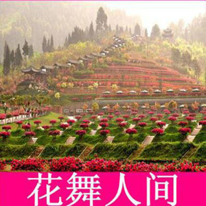 [花舞人间-大门票]成都新津花舞人间门票