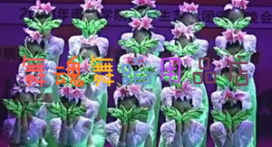 小荷风采舞蹈好一片美丽的茉莉花演出服 树叶手套 头饰 春晓手套