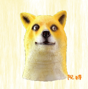极限挑战同款秋田犬doge精神污染头套搞怪狗狗面具逗比神烦汪星人