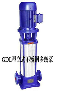 GDL立式多级管道泵65GDL24-12*2，电机3KW,不锈钢水泵