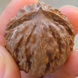 纯野生山核桃灯笼 落地红灯笼 瓷皮 精品 虎头灯笼 直销限量包邮