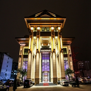 [凌奥国际酒店温泉-大门票 采耳]天津