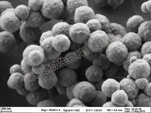 二氧化硅修饰的四氧化三铁磁性纳米颗粒 fe3o4/sio2磁性纳米颗粒