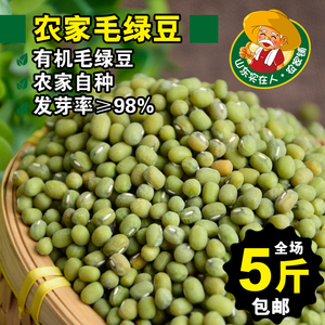 农家自产优质毛绿豆 消暑非转基因毛绿豆 五谷杂粮特级毛绿豆250g