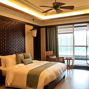 温州泰顺莲云谷温泉酒店含莲云谷温泉门票 双早 2天1晚温州自由行