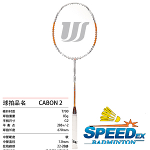 wellsun carbon-2  专业羽毛球拍