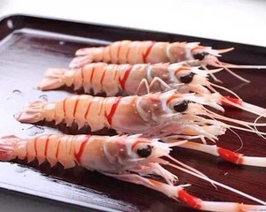 新西兰小龙虾 斯干比scampi 进口深海鳌虾 甜虾刺身料理2号牡丹虾