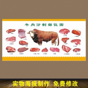 火锅店 牛肉火锅 牛肉分割部位图贴画贴纸背胶海报 广告设计制作