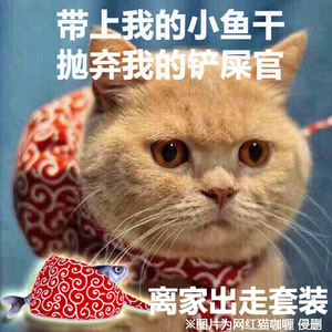 唐草猫项圈三角巾猫围巾围脖离家出走小包袱猫咪拍照道具带小鱼干