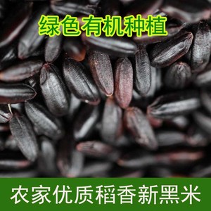 广西农家一级黑米自家产黑米杂粮放心米