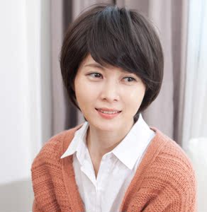 中老年假发 女短发 中年 妈妈 老年人 短假发 送发网 包邮