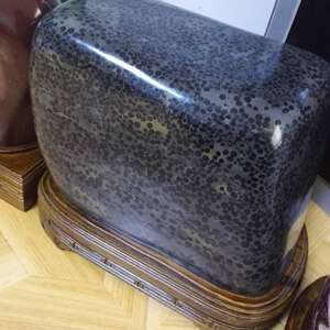 神农架雨点石蝌蚪化石汉江石原石摆件抛光打磨