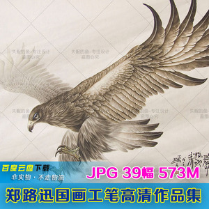 郑路迅国画工笔高清图片作品集老鹰鸟设计库素材临摹喷绘素材装饰