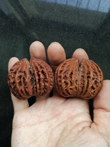 文玩核桃 东北秋子 楸子 双连体 双棒 蝴蝶自玩一对  有色