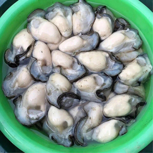 linxuante淘宝井洲生蚝肉鲜活500克现剥现卖新鲜去壳生蚝肉牡蛎海子