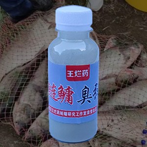 鲢鳙添加剂臭弹酸臭味主钓江河大B体型鲢鳙抛竿可搭配其它鲢鳙饵