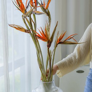 天堂鸟天然植物干花客厅桌面配花百搭真花装饰餐厅高级花艺软装