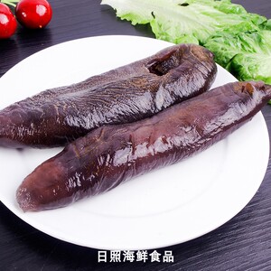 4斤山东海茄子参干的泡发好货海参大乌己茄参速冻自参吃大个威海
