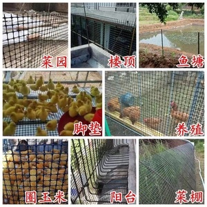 养鸡围栏网菜园圈地零售10米20米长塑料防护网户外养殖网圈玉米网