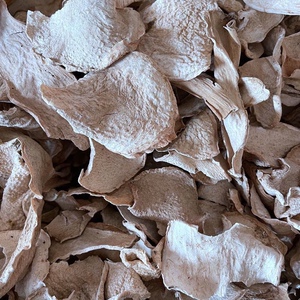 新货野生 广东狼毒 中药材 切片干品