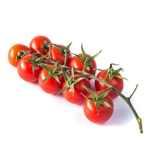 秧满田 新鲜串番茄 串果 带枝番茄 西餐食材 樱桃番茄500g 顺丰