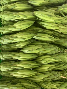 霸王花新鲜蔬菜火龙果花剑花酒店特色蔬菜花苞菜煲汤食材500克