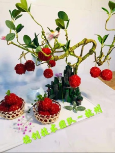 装饰装盘 假树 餐桌装饰 荔枝虾球网红仿真树