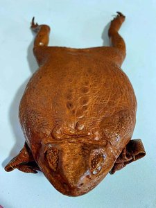 2021癞蛤蟆包青蛙包蟾蜍包另类沙雕送女友真s皮整蛊男钱包海蟾硬