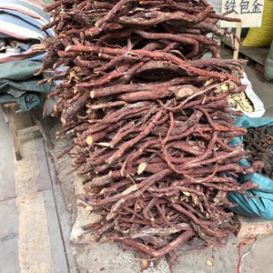 中药材血风藤 红穿破石纯根 青筋藤 铁牛入石 500克状元红