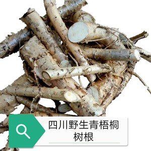 青皮梧桐树根 桐麻树根 中药材瓢儿树根 纯根 鲜干货 500g包邮