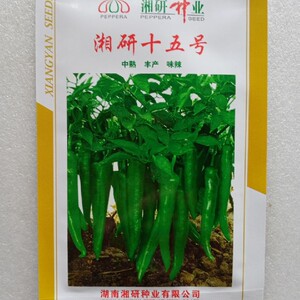 原包装湘研十五号辣椒种子中熟浅绿色味辣净含量1000粒/包