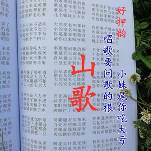民间山歌四句情歌歌词男女对唱加厚书籍云南 四川 湖南 贵州适用
