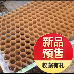 链条式育苗纸钵纸筒杯袋块盘蔬菜瓜果花卉蜂窝状育苗棉花育苗纸册