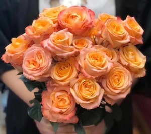 a级蒙娜丽莎玫瑰金色云南基地鲜花直发水养瓶插花束18加2支包邮