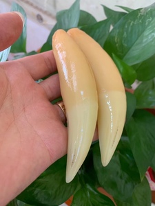 仿老虎牙吊坠工艺品大猫牙男女款仿真动物牙项链配饰工艺品