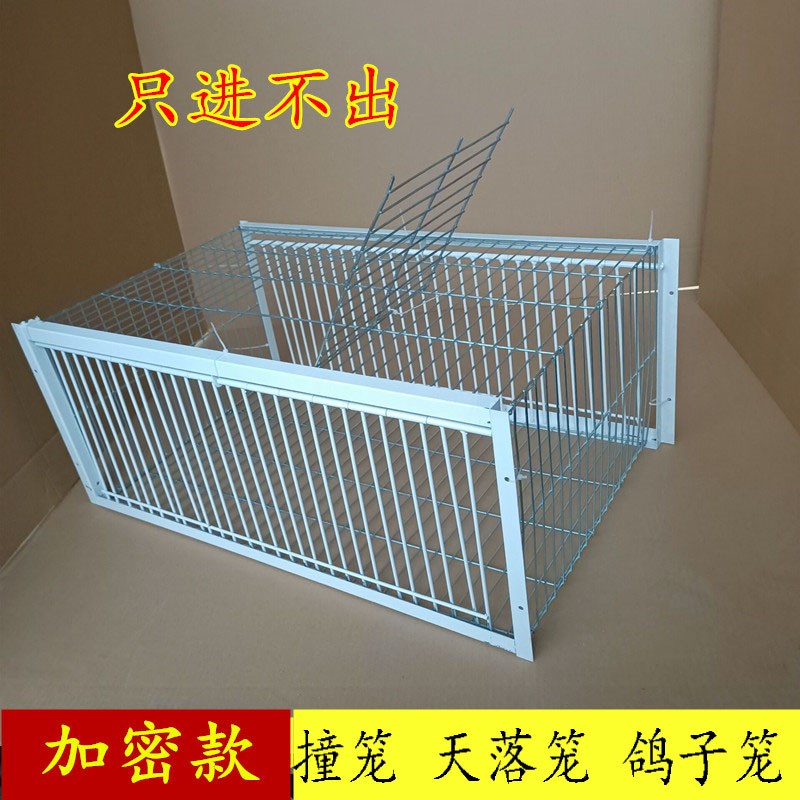 鸟信门子全笼进鸽撞子鸽出笼笼天鸽鸽抓阱陷落不子套笼只子密加g