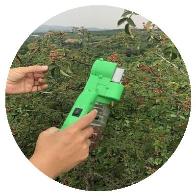 摘花椒神器 电动花椒采摘机全自动香椒青花椒山椒狗麻椒采摘工m