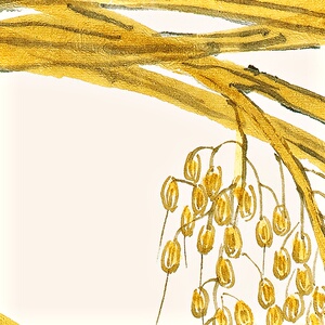 齐新白石稻谷中式sps4260餐桌客餐厅花卉挂装饰画画墙壁厅画