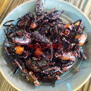 即食昆虫油炸一字竹象虫食用竹笋象甲虫烧烤美味餐馆美食虫子小吃