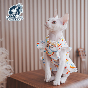 德文猫事务所斯芬克斯无毛猫宠物猫幼猫可爱飞边袖连衣裙纯棉短袖