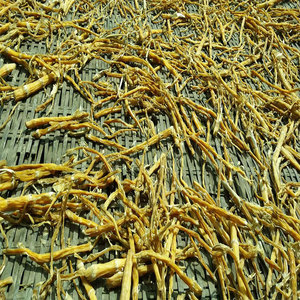 万源大巴山特产野生干木竹笋炖汤干货精品散装500g农家自晒小笋干