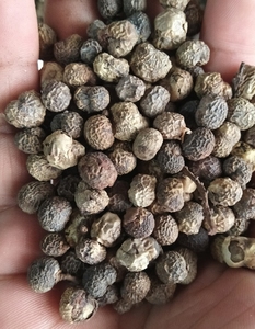 中药材棕榈子 棕树果实 败棕子 晒干货 食用农产品500克