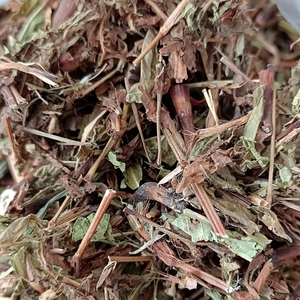 红辣蓼 广西中药材九龙川蓼子草 斑蕉梨同草 辣了 辣柳草 500克件