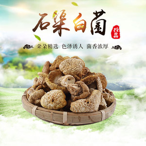 四川甘孜藏区特产石渠白菌2020新货野生黄蘑菇干货煲汤炖鸡食材